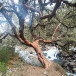 CwK Pumahuanca Chupani 3